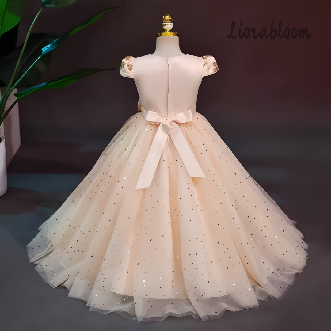 Formal Multicolor Evening Gown - Woman Formal Wear recension och pris