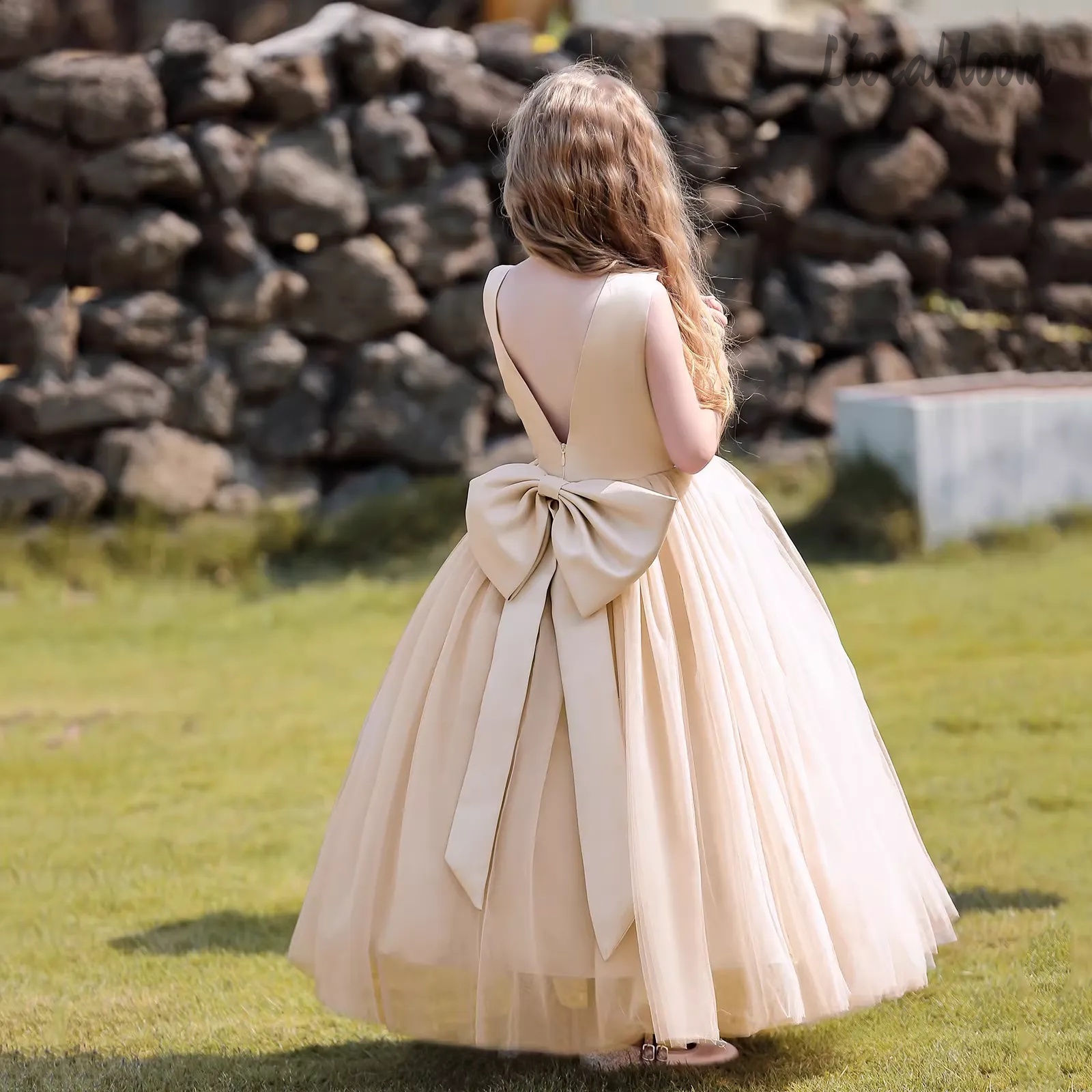 Multicolor Backless Princess D - Woman Formal Wear recension och pris